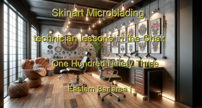 Skinart Microblading technician lessons in the Chak One Hundred Ninety Three Eastern Bar area | MicrobladingTraining | MicrobladingClasses | SkinartTraining-Pakistan